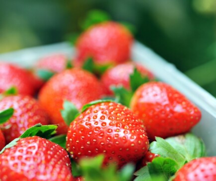 Your Ultimate Guide to Healthy Snacks for Beach and Pool Days
