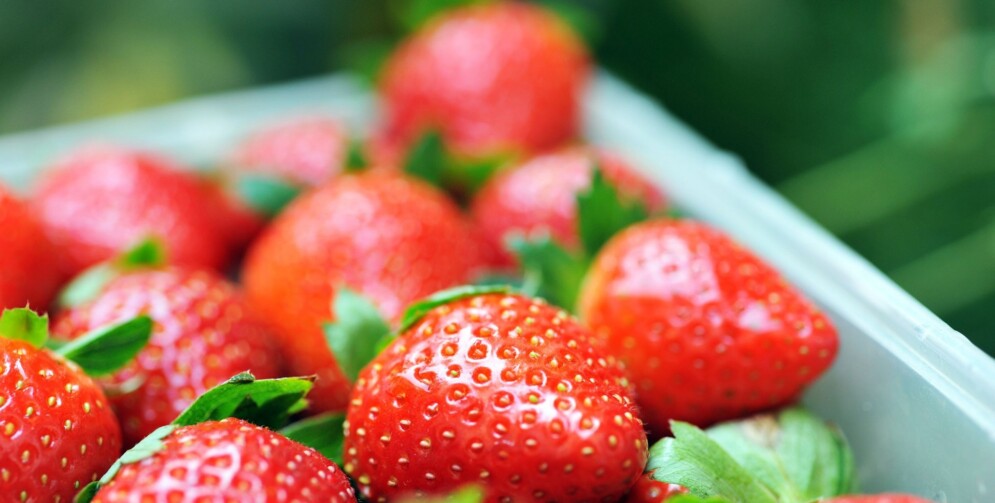 Your Ultimate Guide to Healthy Snacks for Beach and Pool Days